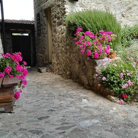 La Costa Di Gavedo Villa Ngoại thất bức ảnh